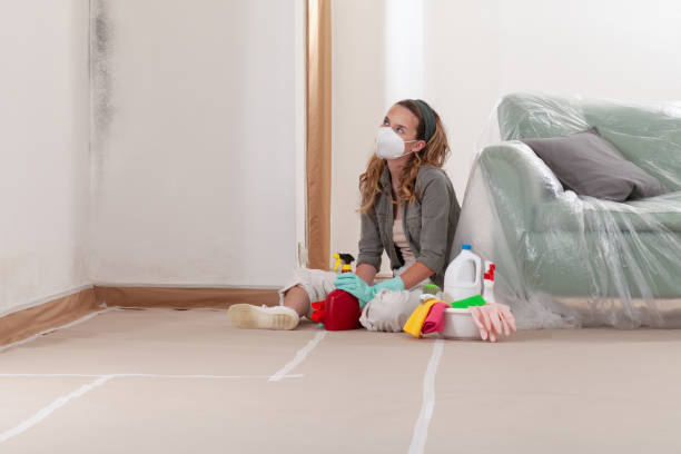 Reliable Mold Inspection contractor in Sachse, TX by WQB Mold Removal